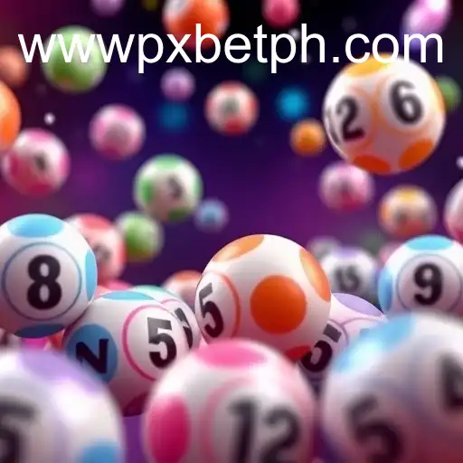 Discovering Online Bingo: The Rise of PXBET